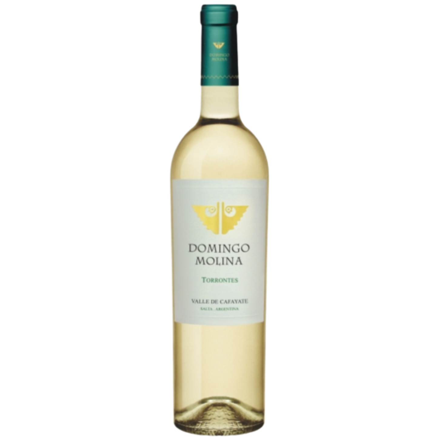 Domingo Molina Torrontés