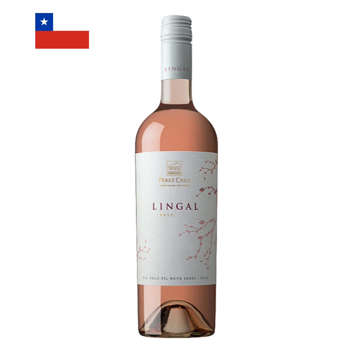 Perez Cruz Lingal Rosé